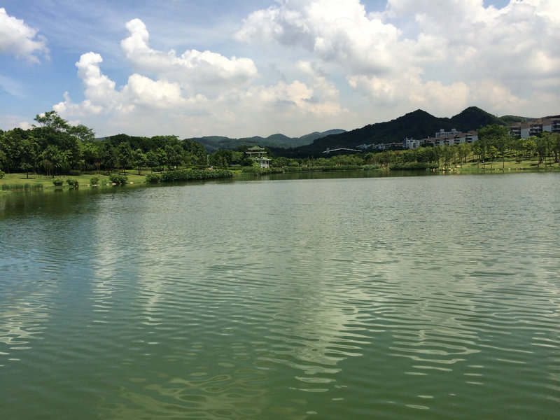 深圳中心公园景观湖.jpg