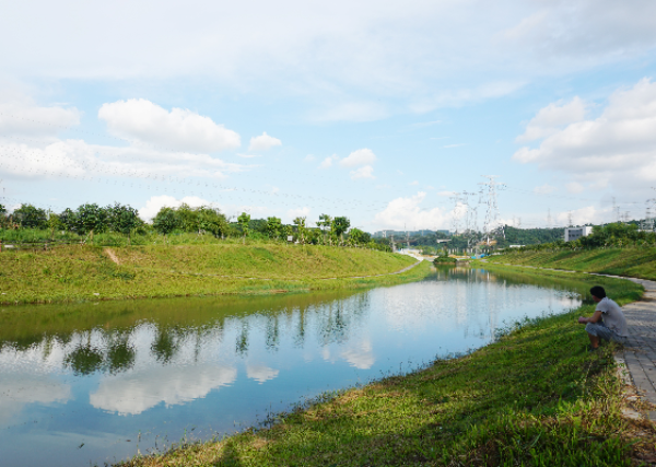 鹅颈水为茅洲河一级支流,位于深圳市光明区凤凰街道,发源于鹅颈水库上