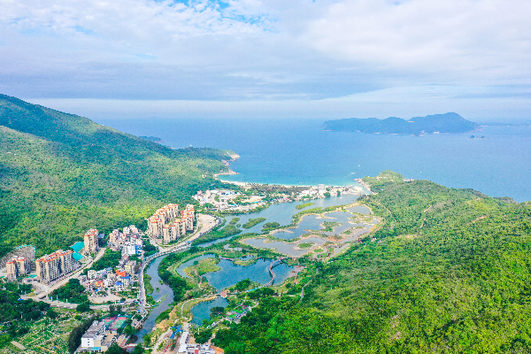 20220615大鹏低碳日宣传稿_2