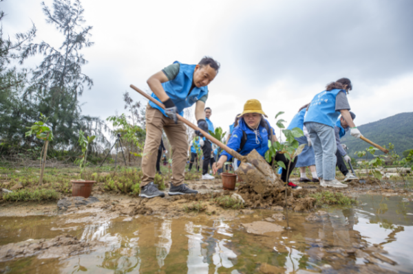 红树林湿地保育志愿活动2.jpg