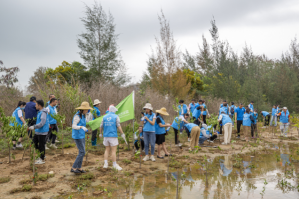 红树林湿地保育志愿活动3.jpg