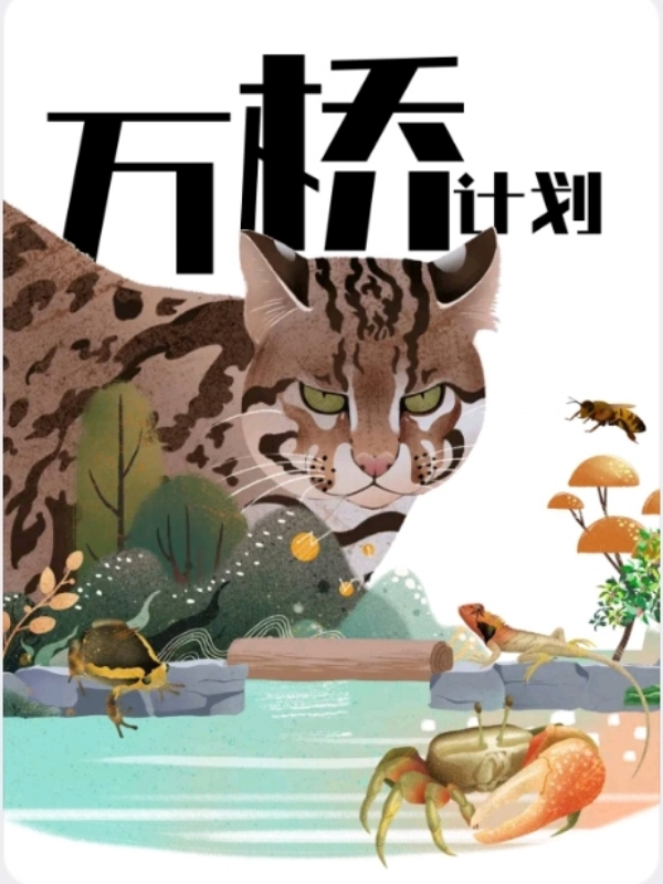 已编辑图片