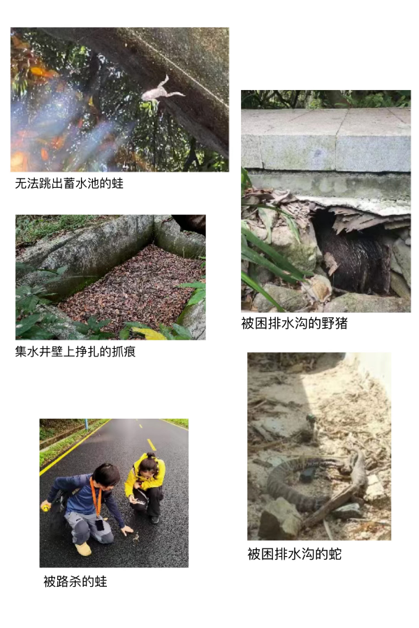 5张图拼图.jpg
