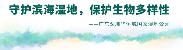转存图片