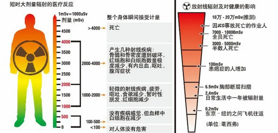 辐射剂量对人体的危害与剂量的关系见图.jpg