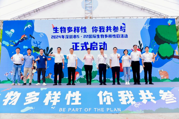 自动转存图片
