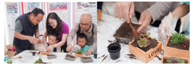 居民用咖啡渣种植多肉植物