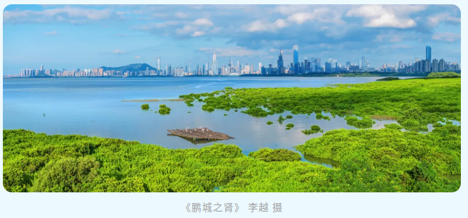 自动转存图片