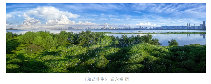 自动转存图片
