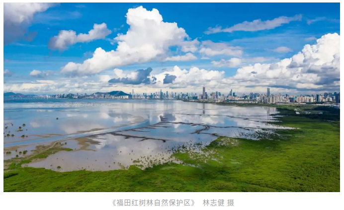 自动转存图片