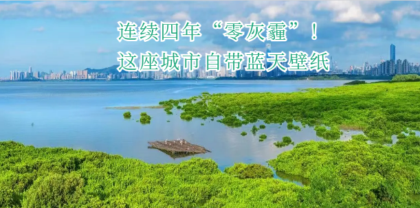 连续四年“零灰霾”！这座城市自带蓝天壁纸